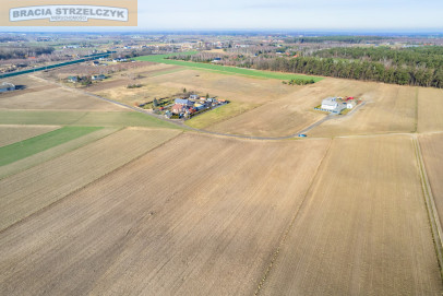 Działka Sprzedaż Niepiekła